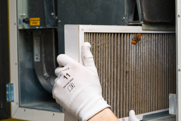 Best Affordable HVAC Duct Cleaning  in Ferris, TX