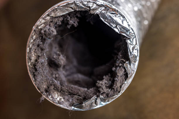 Best Best Air Duct Cleaning Company  in Ferris, TX