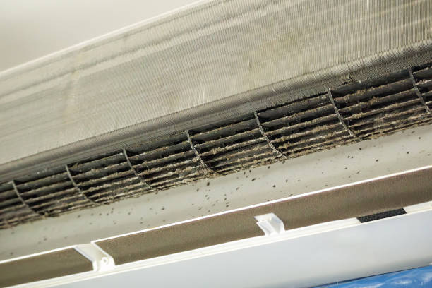 Best Home Air Vent Cleaning  in Ferris, TX
